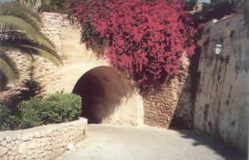 Túnel de la puerta del Palomar